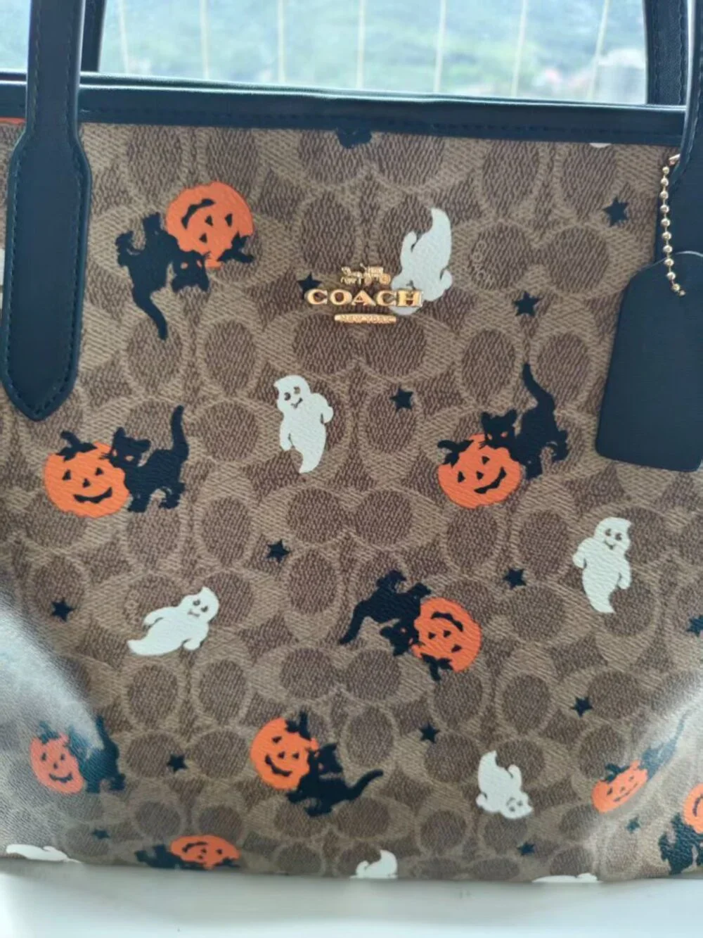 Coach City Tote In Signature Canvas With Halloween Print CW450